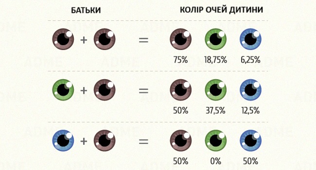 Якого кольору будуть очі у моєї дитини?